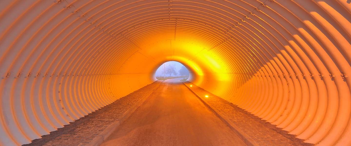 insight featured image