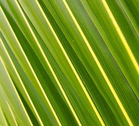 Pillar 2 - How this law will affect the annual accounts 2023 of Luxembourg companies?