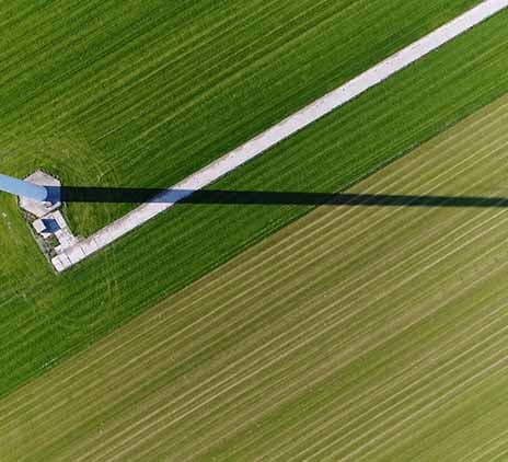 A Greenlight for the Corporate Sustainability Due Diligence Directive (CSDDD)