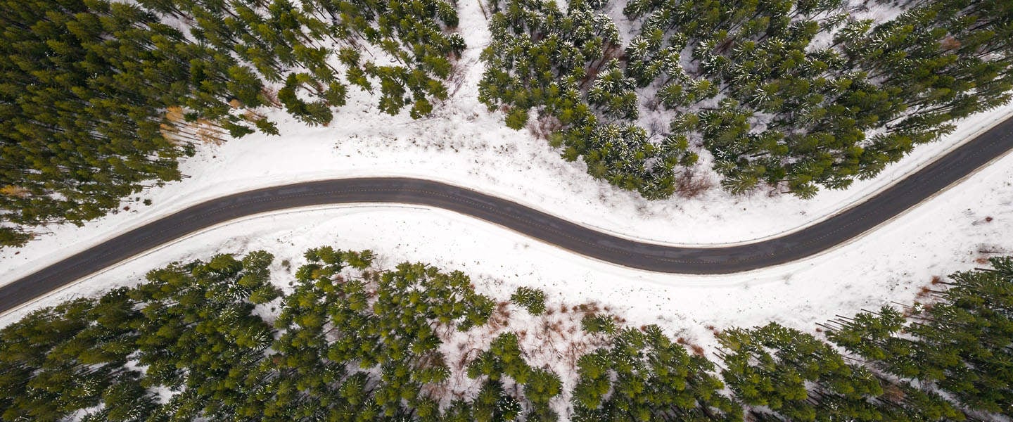 insight featured image