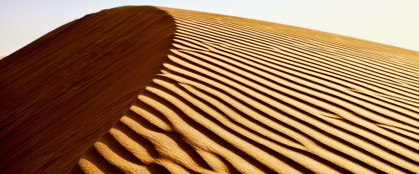 insight featured image