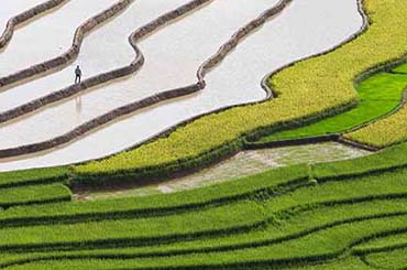 No Time to Waste: Why Proactive Action on the EU Pay Transparency Directive is the Only Option