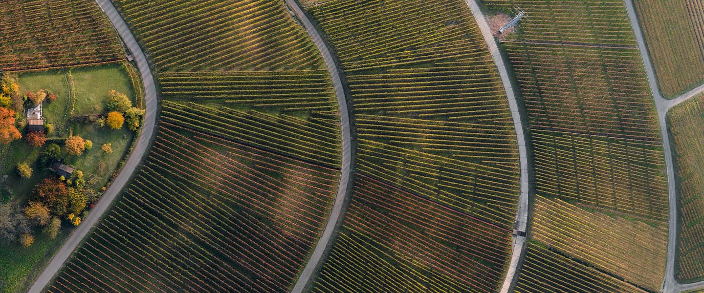 Sustainable Horizons