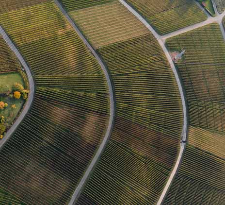 ESMA's New Guidelines: A Strong Stance on Preventing Greenwashing in ESG Fund Names