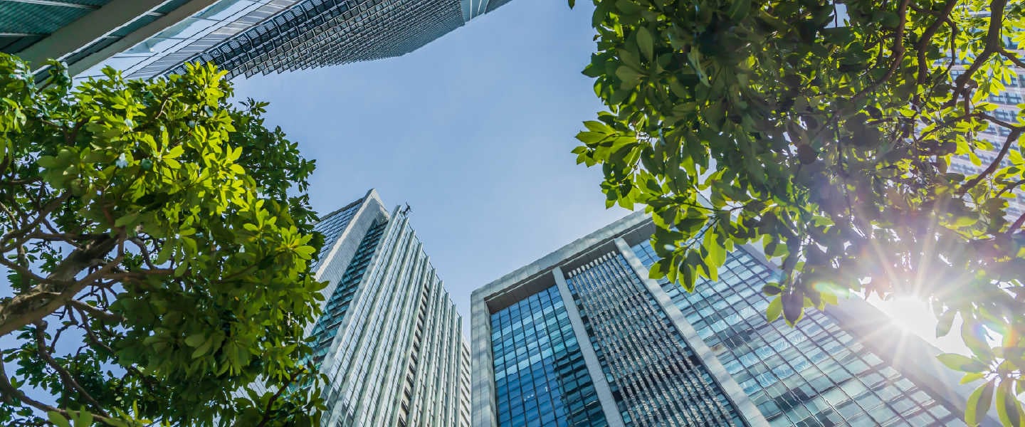 Grant Thornton 2025 ESG Report: Building with intention
