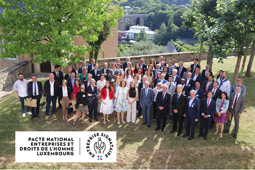 Logo resize - National Pact Business and Human Rights Luxembourg 4.PNG
